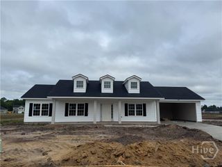 368 NE Freshwater Lane, Ludowici, GA 31316