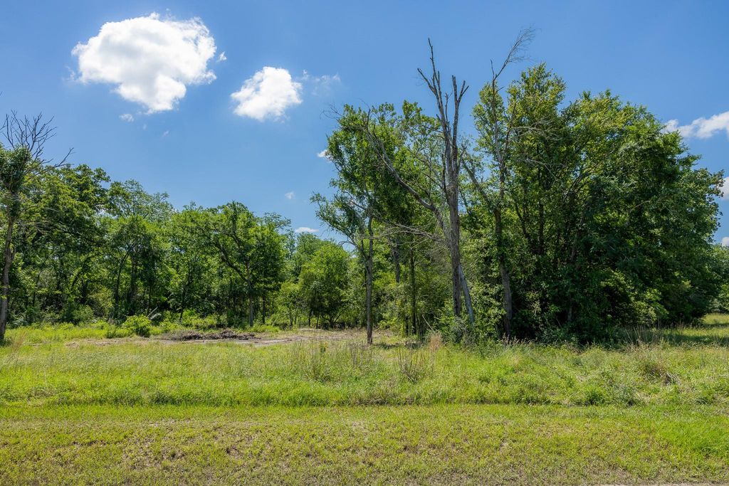 10649 Atakapan Trail, Bedias, TX 77831
