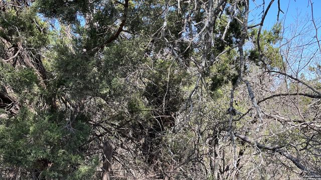 0 STATE HWY 46 W, Spring Branch, TX 78070