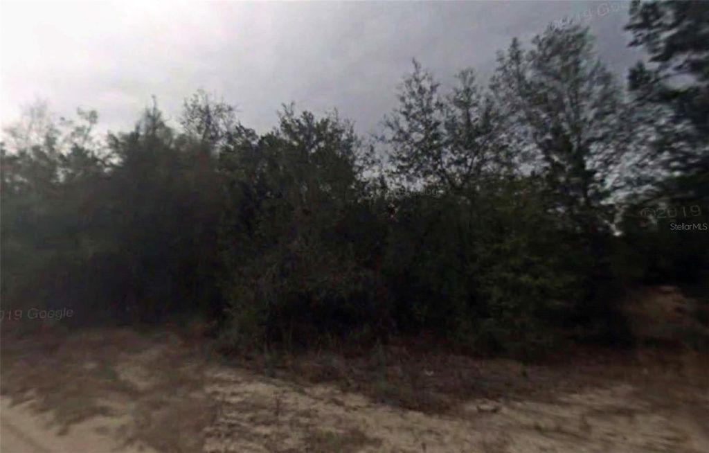 702 LONGWOOD AVENUE, Inverness, FL 34453