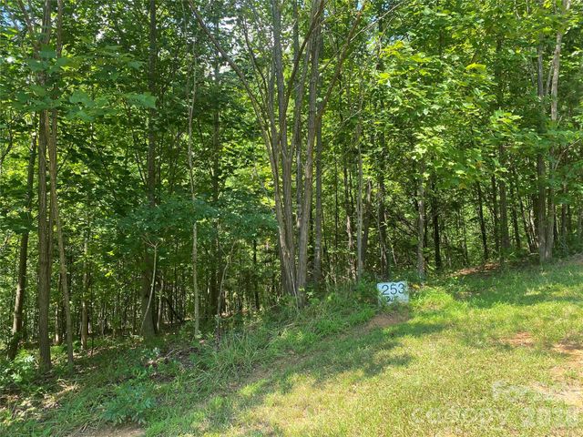 0000 Rock Ledge Drive, Lake Lure, NC 28746