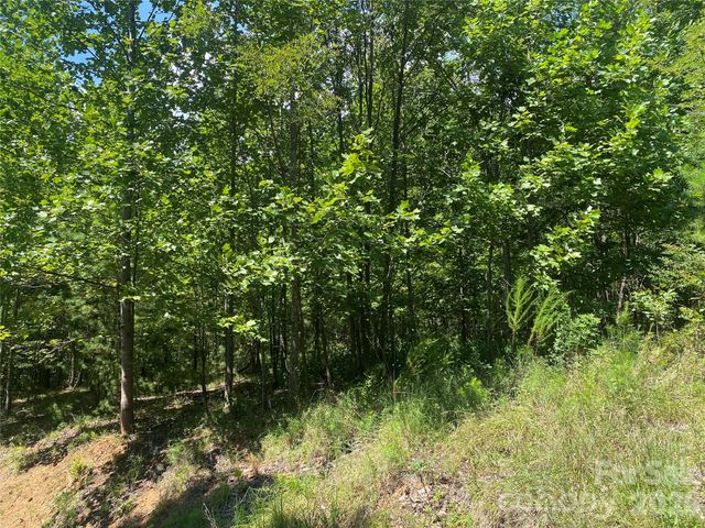 0000 Rock Ledge Drive, Lake Lure, NC 28746