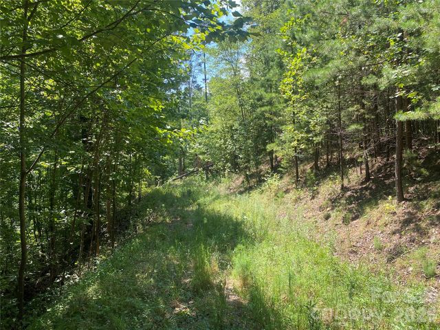 0000 Rock Ledge Drive, Lake Lure, NC 28746