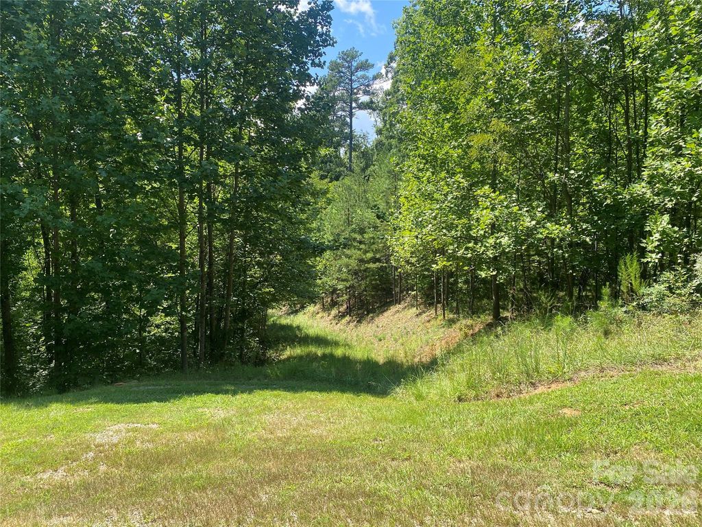 0000 Rock Ledge Drive, Lake Lure, NC 28746