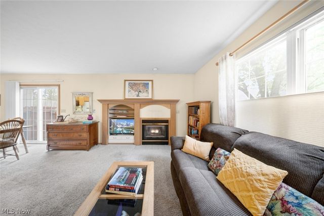 23174 Grist Mill Court, Olmsted Falls, OH 44138