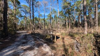 00 14th Street, Santa Rosa Beach, FL 32459