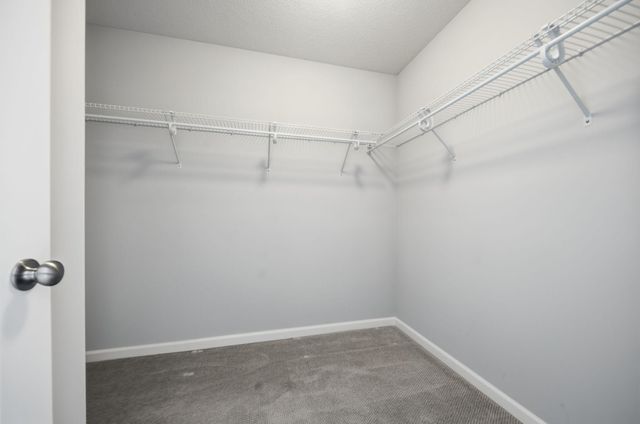 16221 Duskwood Trail, Lakeville, MN 55044