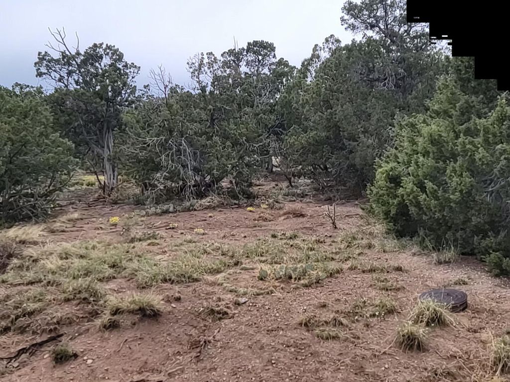 62 High Vista Drive, Moriarty, NM 87035