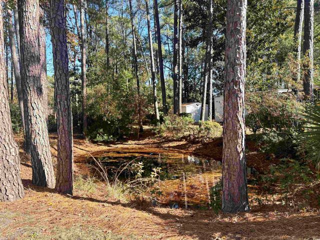 786 Richmond Trail, Murrells Inlet, SC 29576