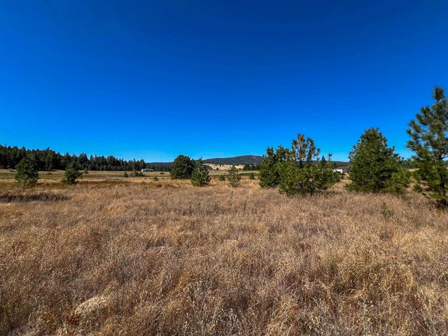 52XX Lot 1 Swenson Rd, Deer Park, WA 99006
