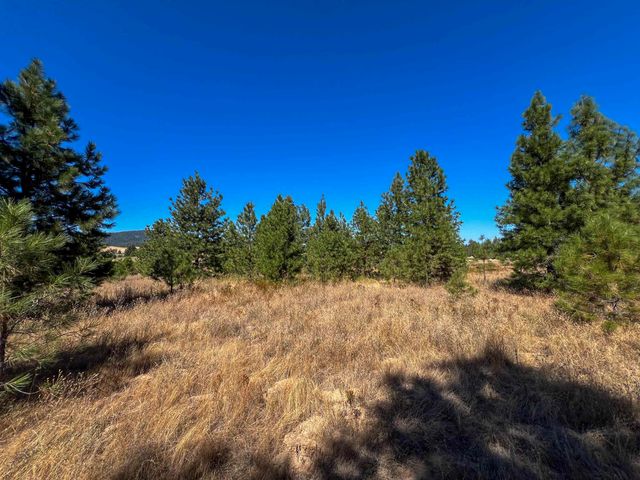 52XX Lot 1 Swenson Rd, Deer Park, WA 99006
