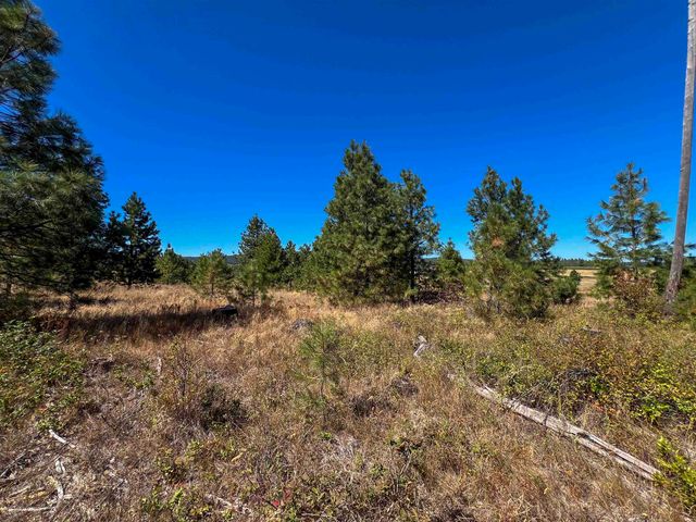 52XX Lot 1 Swenson Rd, Deer Park, WA 99006
