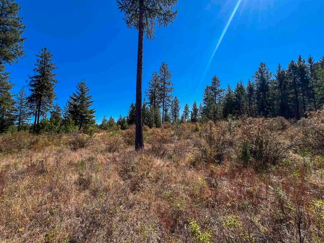 52XX Lot 1 Swenson Rd, Deer Park, WA 99006