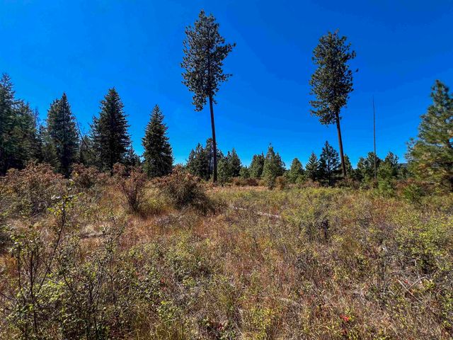 52XX Lot 1 Swenson Rd, Deer Park, WA 99006