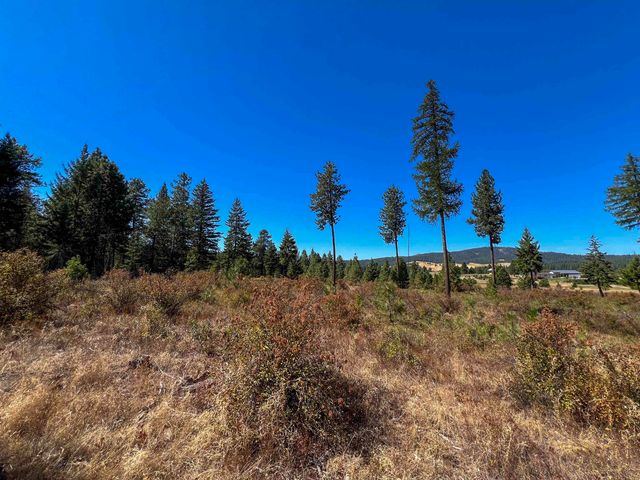52XX Lot 1 Swenson Rd, Deer Park, WA 99006