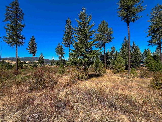 52XX Lot 1 Swenson Rd, Deer Park, WA 99006