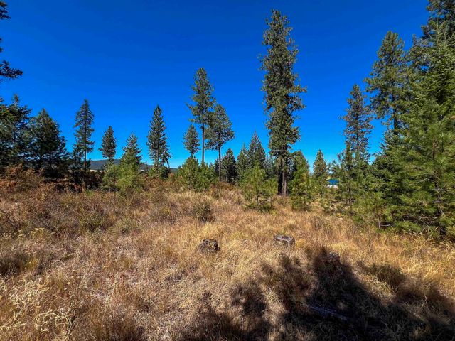 52XX Lot 1 Swenson Rd, Deer Park, WA 99006