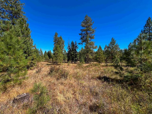 52XX Lot 1 Swenson Rd, Deer Park, WA 99006