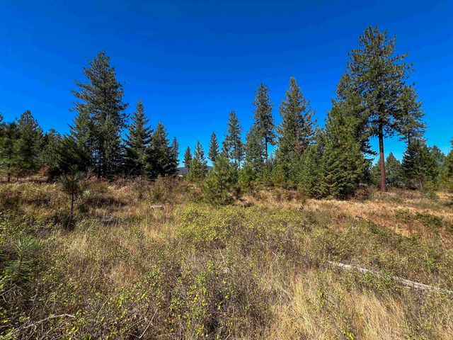 52XX Lot 1 Swenson Rd, Deer Park, WA 99006