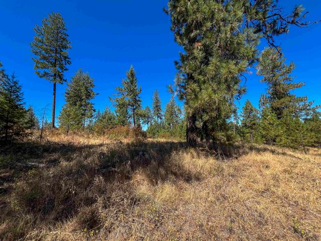 52XX Lot 1 Swenson Rd, Deer Park, WA 99006
