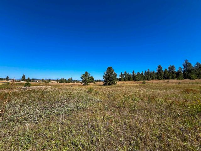 52XX Lot 1 Swenson Rd, Deer Park, WA 99006