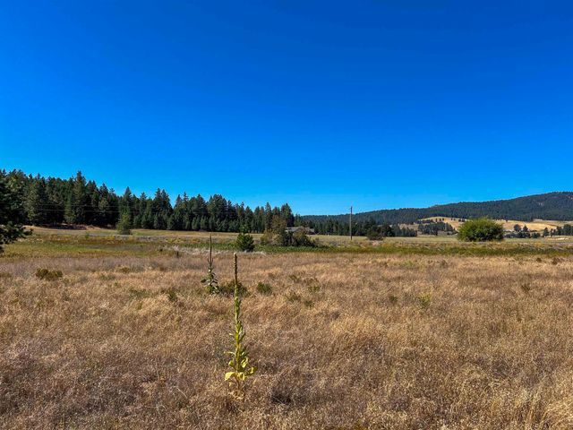 52XX Lot 1 Swenson Rd, Deer Park, WA 99006