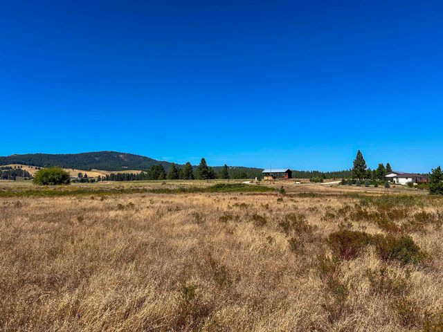 52XX Lot 1 Swenson Rd, Deer Park, WA 99006