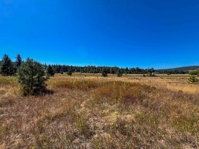 52XX Lot 1 Swenson Rd, Deer Park, WA 99006