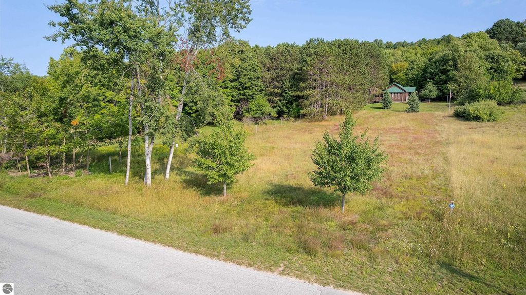 Image 10 of property listing at 0 Elm Street, Frankfort, MI 49635