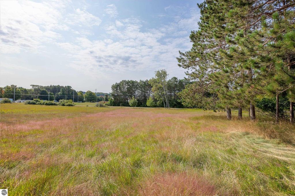 Image 11 of property listing at 0 Elm Street, Frankfort, MI 49635