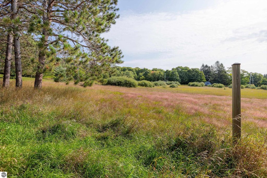 Image 12 of property listing at 0 Elm Street, Frankfort, MI 49635