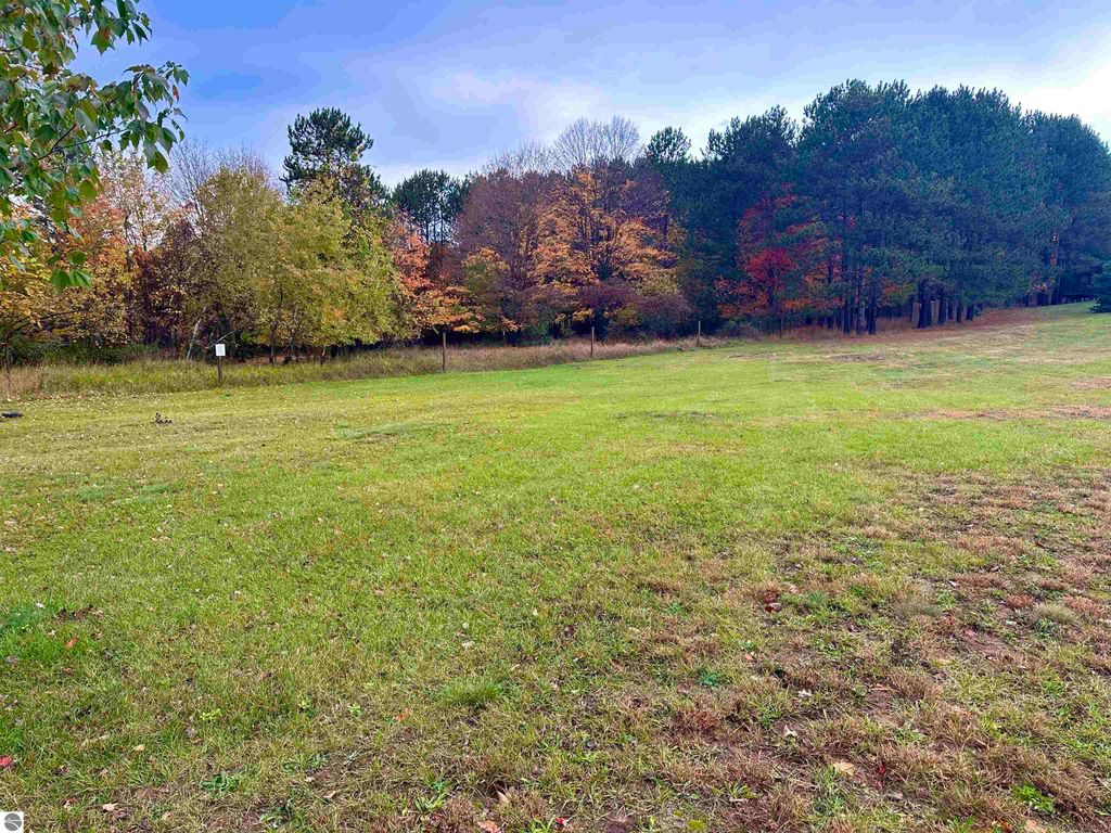 Image 21 of property listing at 0 Elm Street, Frankfort, MI 49635