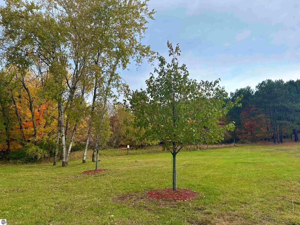 Image 22 of property listing at 0 Elm Street, Frankfort, MI 49635