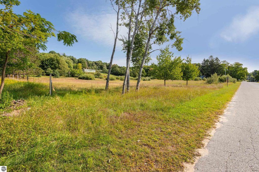 Image 4 of property listing at 0 Elm Street, Frankfort, MI 49635