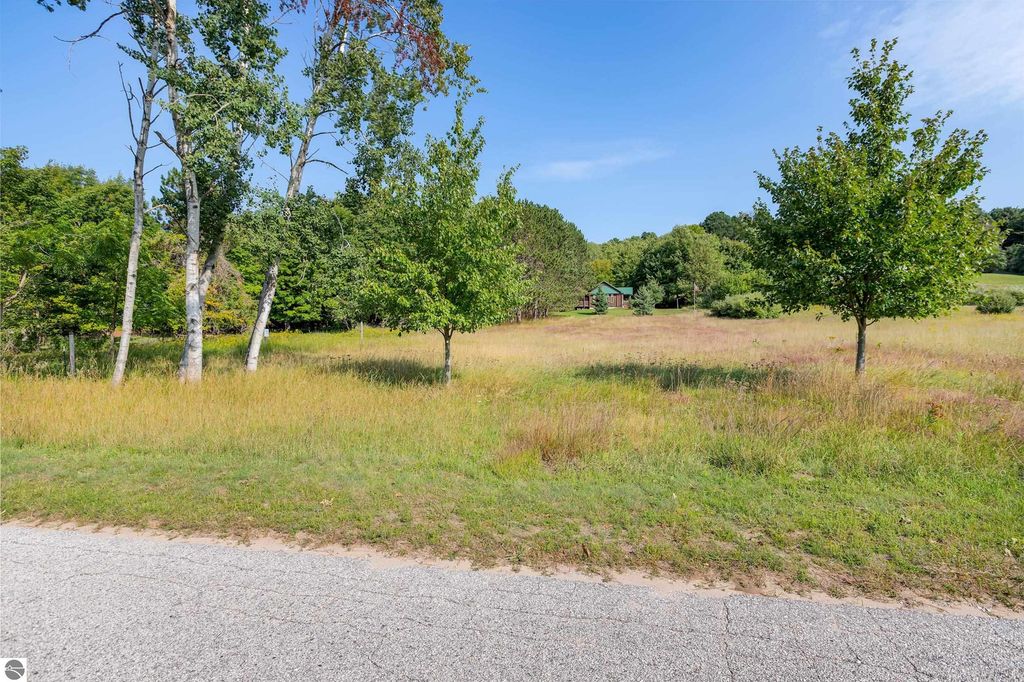 Image 5 of property listing at 0 Elm Street, Frankfort, MI 49635