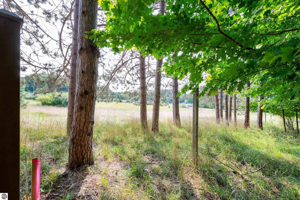 Image 8 of property listing at 0 Elm Street, Frankfort, MI 49635