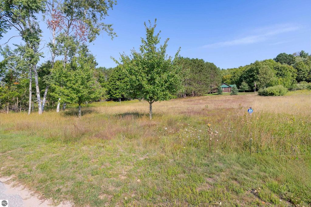 Image 9 of property listing at 0 Elm Street, Frankfort, MI 49635