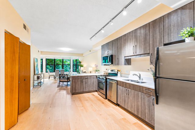 1250 S Indiana Avenue 307, Chicago, IL 60605