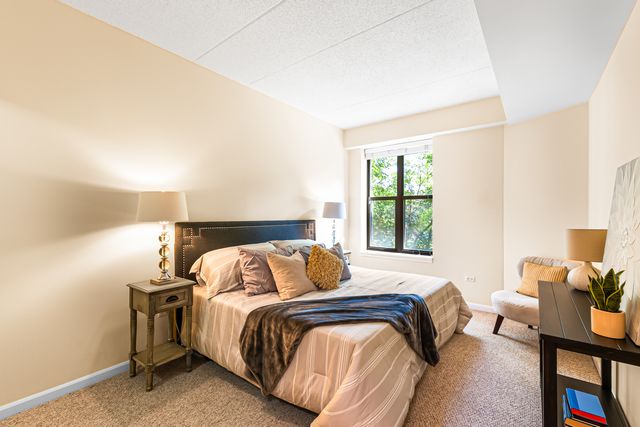 1250 S Indiana Avenue 307, Chicago, IL 60605