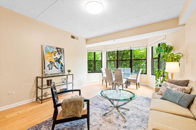 1250 S Indiana Avenue 307, Chicago, IL 60605