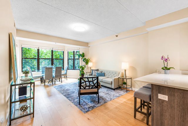 1250 S Indiana Avenue 307, Chicago, IL 60605