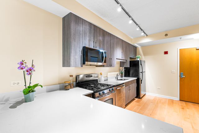 1250 S Indiana Avenue 307, Chicago, IL 60605