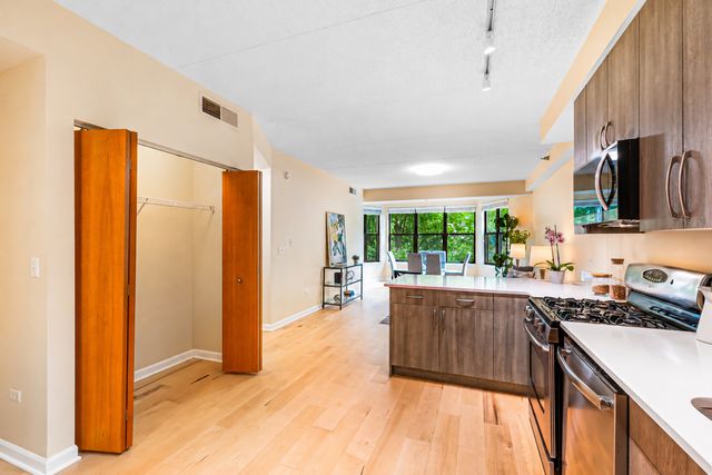 1250 S Indiana Avenue 307, Chicago, IL 60605