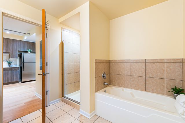 1250 S Indiana Avenue 307, Chicago, IL 60605