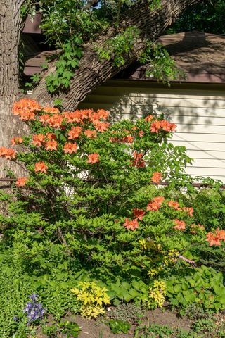 3015 E Minnehaha Parkway, Minneapolis, MN 55417