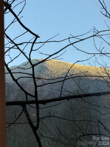 88 Mountain Farm Road, Burnsville, NC 28714