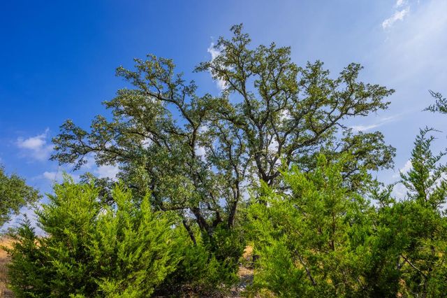 605 Elkhorn Circle, Mountain Home, TX 78058