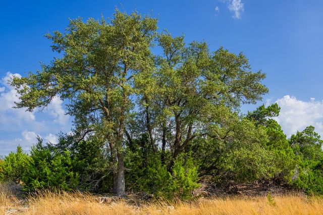 605 Elkhorn Circle, Mountain Home, TX 78058