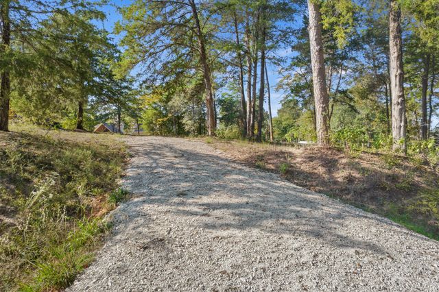 TBD Charlya Drive, Scroggins, TX 75480