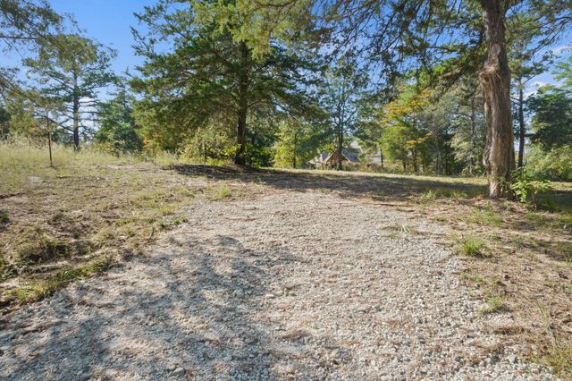 TBD Charlya Drive, Scroggins, TX 75480